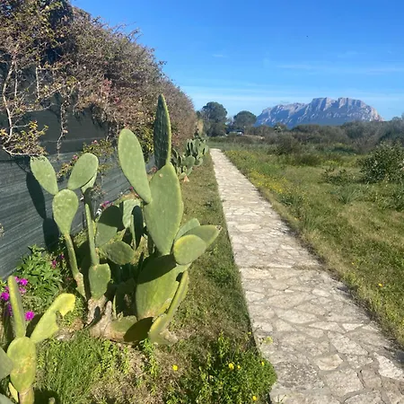 Appartement Il Nido Al Mare Olbia Italia *